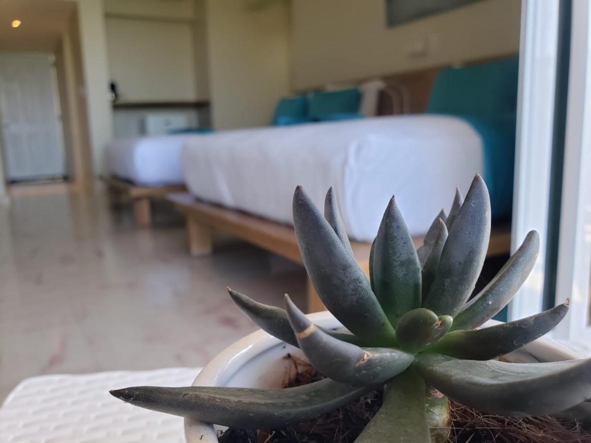 Paradise Island Beach Resort Punta Rucia Luaran gambar
