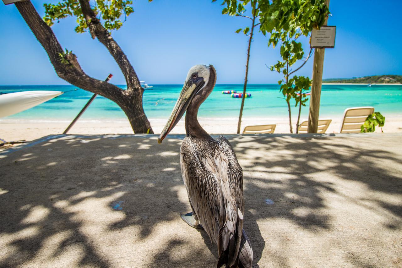 Paradise Island Beach Resort Punta Rucia Luaran gambar